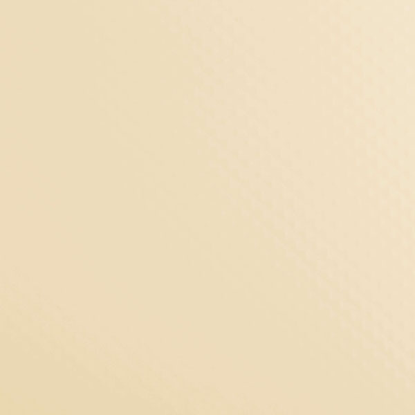 RENOLIT ALKORPLAN 1000 1,65м Sand