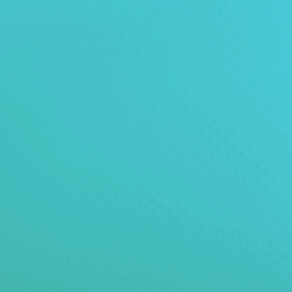 RENOLIT ALKORPLAN 2000 1,65м Caribbean Green